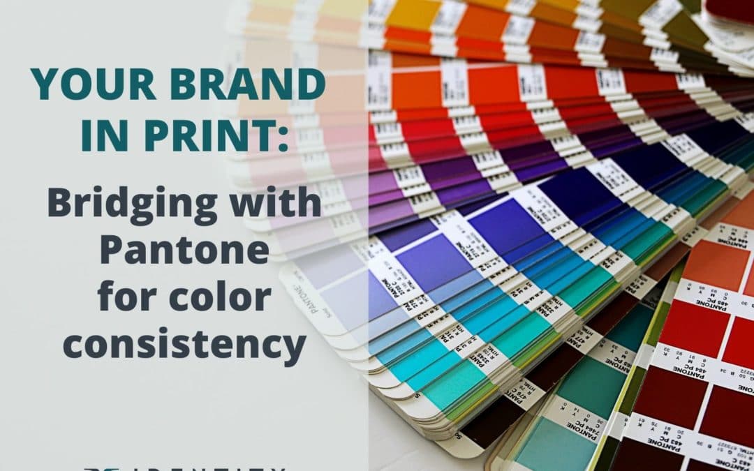 Your Brand in Print: Bridging with Pantone for Color Consistency